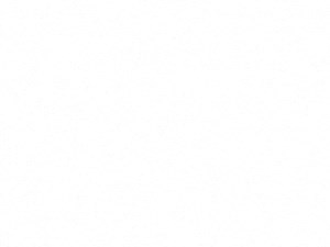 Mercer Floor Plan